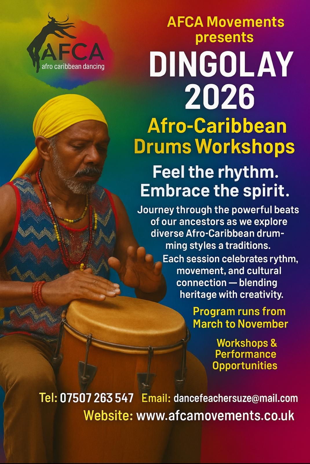 Dingolay 2026 Promo Flyer 2